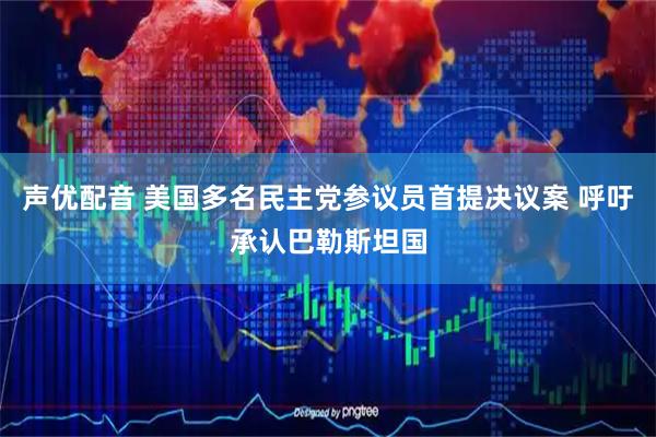 声优配音 美国多名民主党参议员首提决议案 呼吁承认巴勒斯坦国