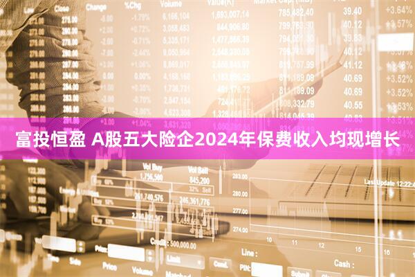 富投恒盈 A股五大险企2024年保费收入均现增长