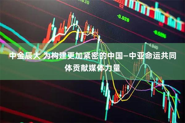 中金辰大 为构建更加紧密的中国—中亚命运共同体贡献媒体力量