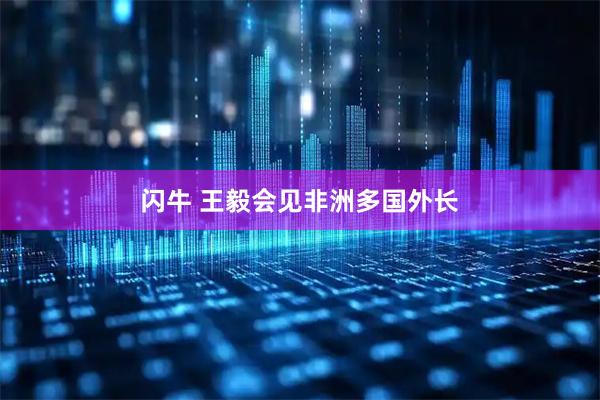 闪牛 王毅会见非洲多国外长
