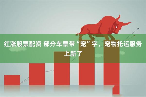 红涨股票配资 部分车票带“宠”字，宠物托运服务上新了